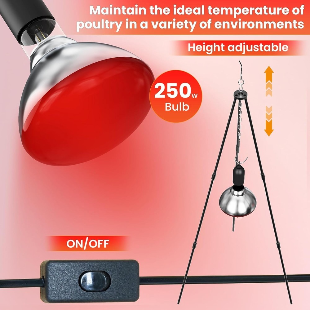 All-In-One Chicken Brooder Box for Chicks, Starter Kit with Timer Heat Lamp, Saw