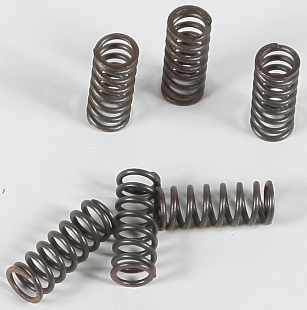 EBC CSK Clutch Spring Kit CSK39