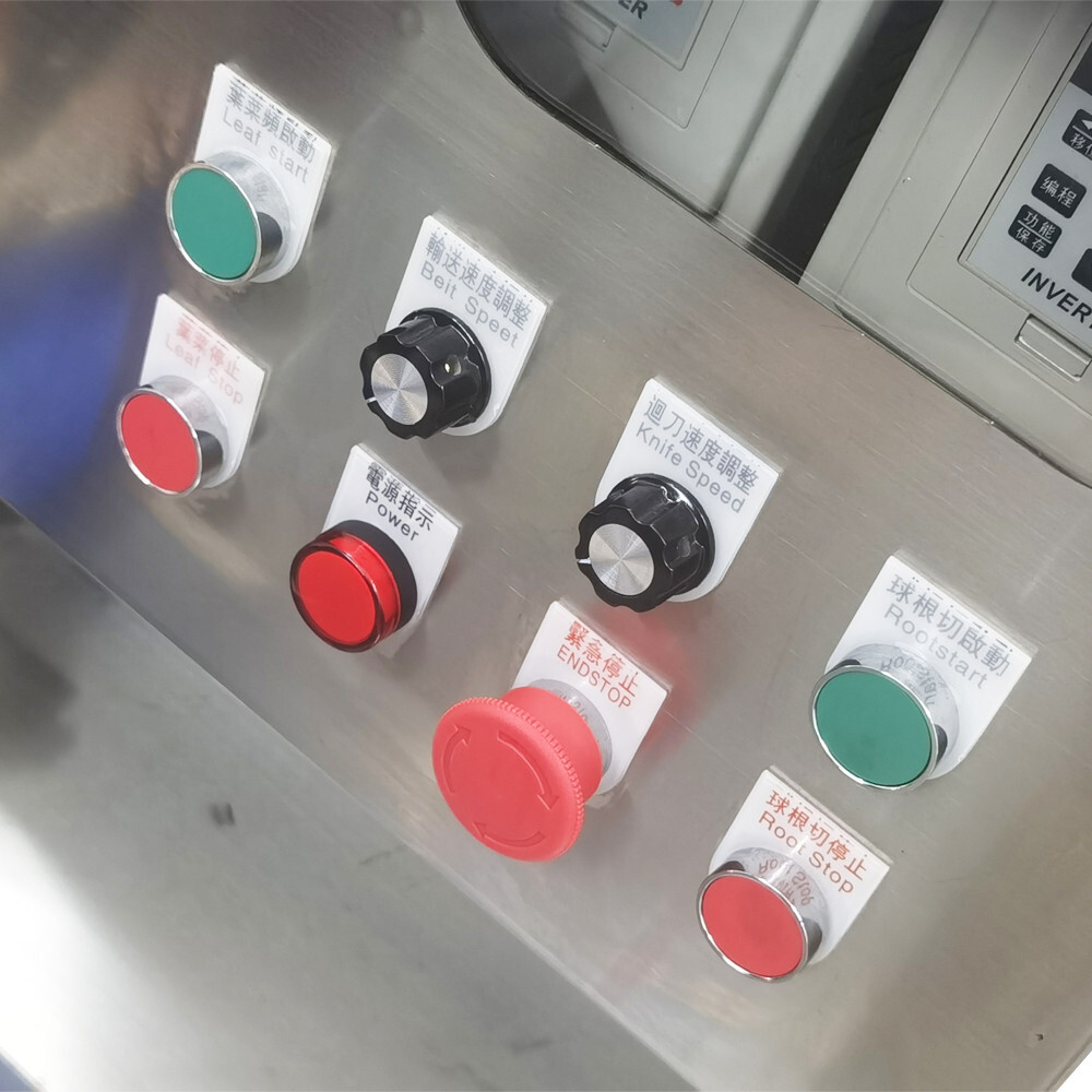 Commercial Vegetable Fruit Cutter Machine Multifunctional Choppers Double Head