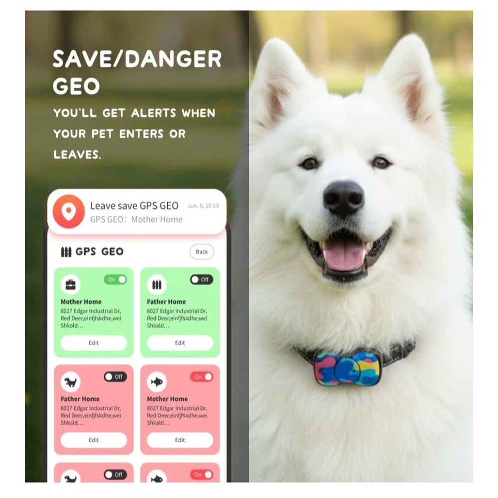 4G Smart GPS Dog Tracker with Real-Time Location, Virtual Fence & Activity Monit