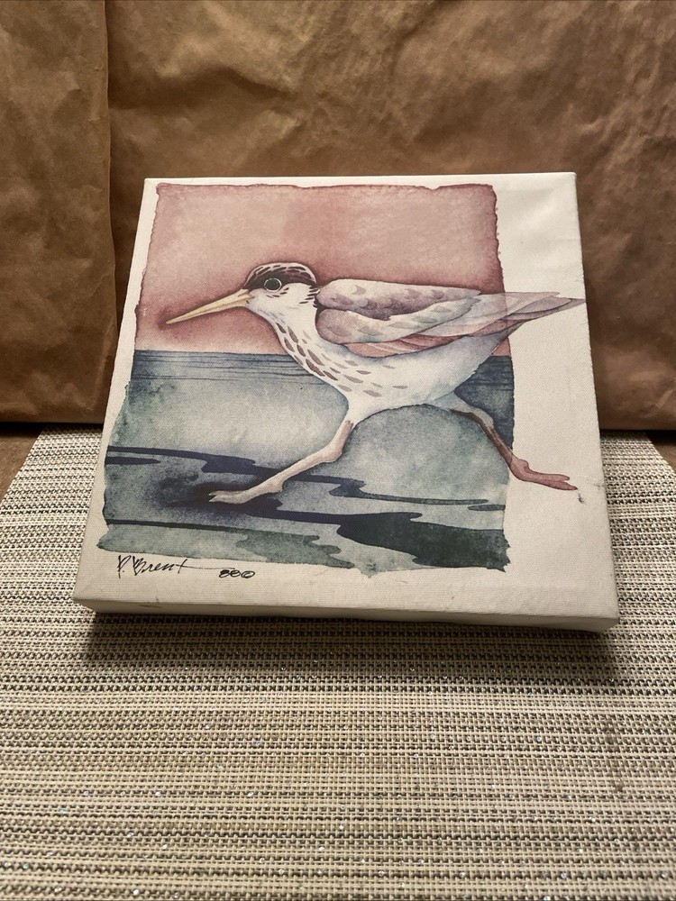 Sanderlings Paul Brent Watercolor Prints 10” X 10”