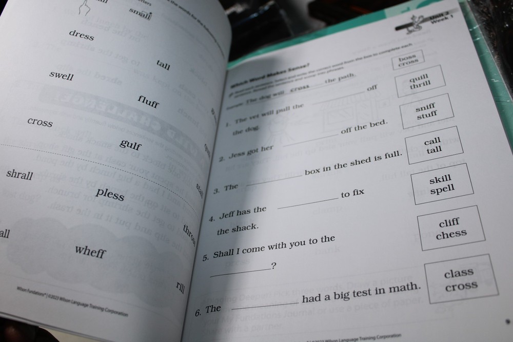 Fundations Wilson Language Basics Practice Book Level 2 Item F2FUNSW2 NO WRITING