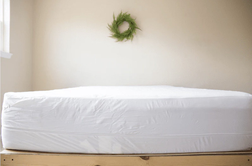 Pillowtex Deluxe Mattress Protector Waterproof, Bed Bug Proof & Silent