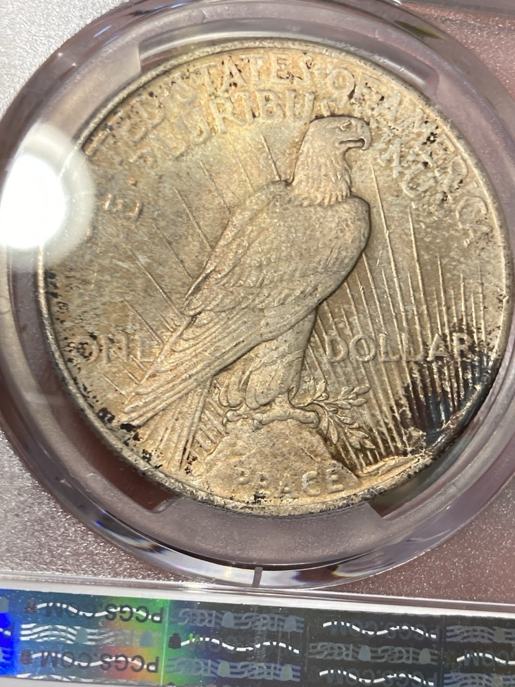 1925 PCGS MS64 Peace Silver Dollar - Toned - Crusty & Original!
