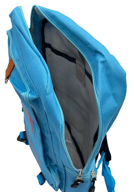 Large Heavy Backpack – Assorted Designs (1CT) Only $29.99 | FREE Shipping