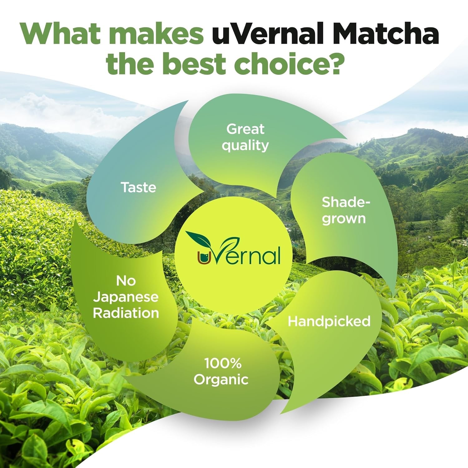 uVernal Organic Matcha Green Tea Powder - 100% Pure Matcha for Latte & Baking