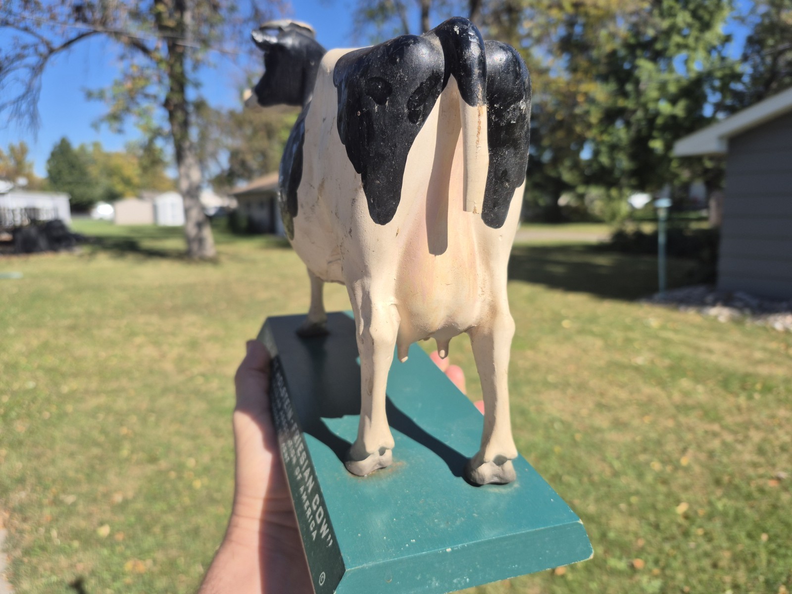 Vtg 1950s True Type Holstein Friesian Large Cow Brattleboro VT Store Display