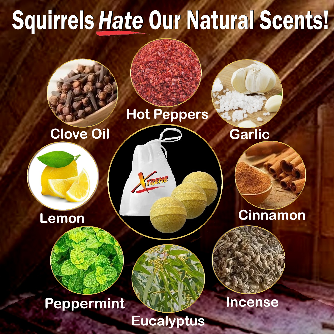 Xtreme Attic Squirrel Repellent. Drives Squirrels Out Fast! 5 Pack