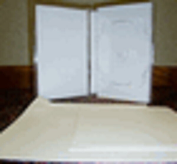 100 pcs Original Jewelboxing King DVD Case FRONT INSERTS ONLY MB9F