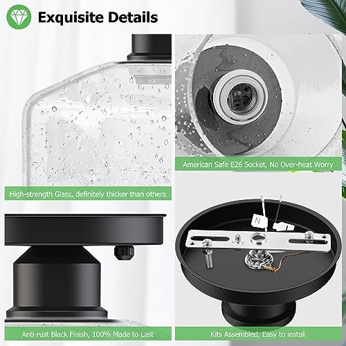 2-Pack Industrial Semi Flush Mount Ceiling Light, Black Light Seeded Glass