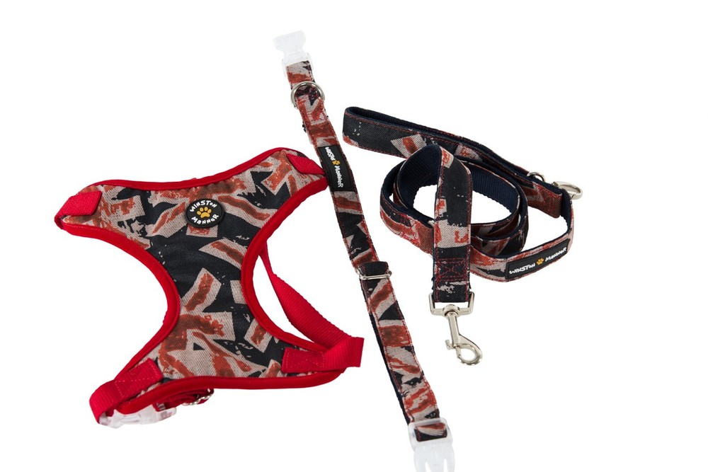 Winston Manner Designer Dog Leash in Hipster