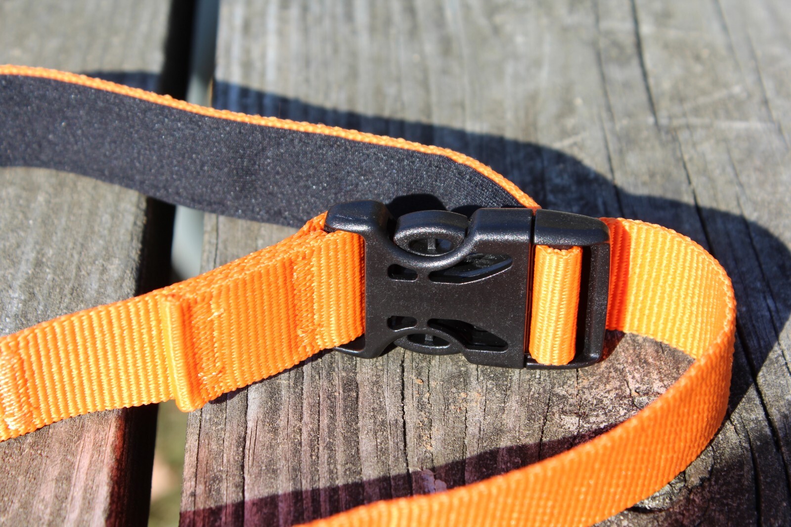 Hands Free Running Walking Dog Leash/Lead Bungee Orange Stretch
