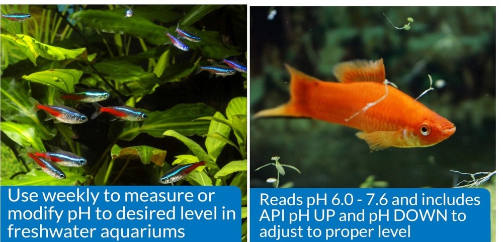 API Freshwater Aquarium pH Test Adjuster Kit 250 Tests Fish Care Solution
