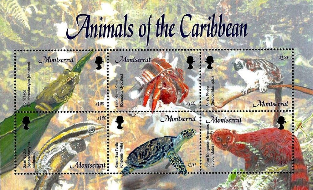 👉 MONTSERRAT 2003 ANIMALS S/S MNH CRABS