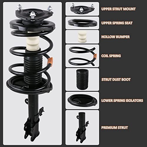 2PCS Rear Complete Struts Shock Assembly W/Coil Spring Compatible for 2009