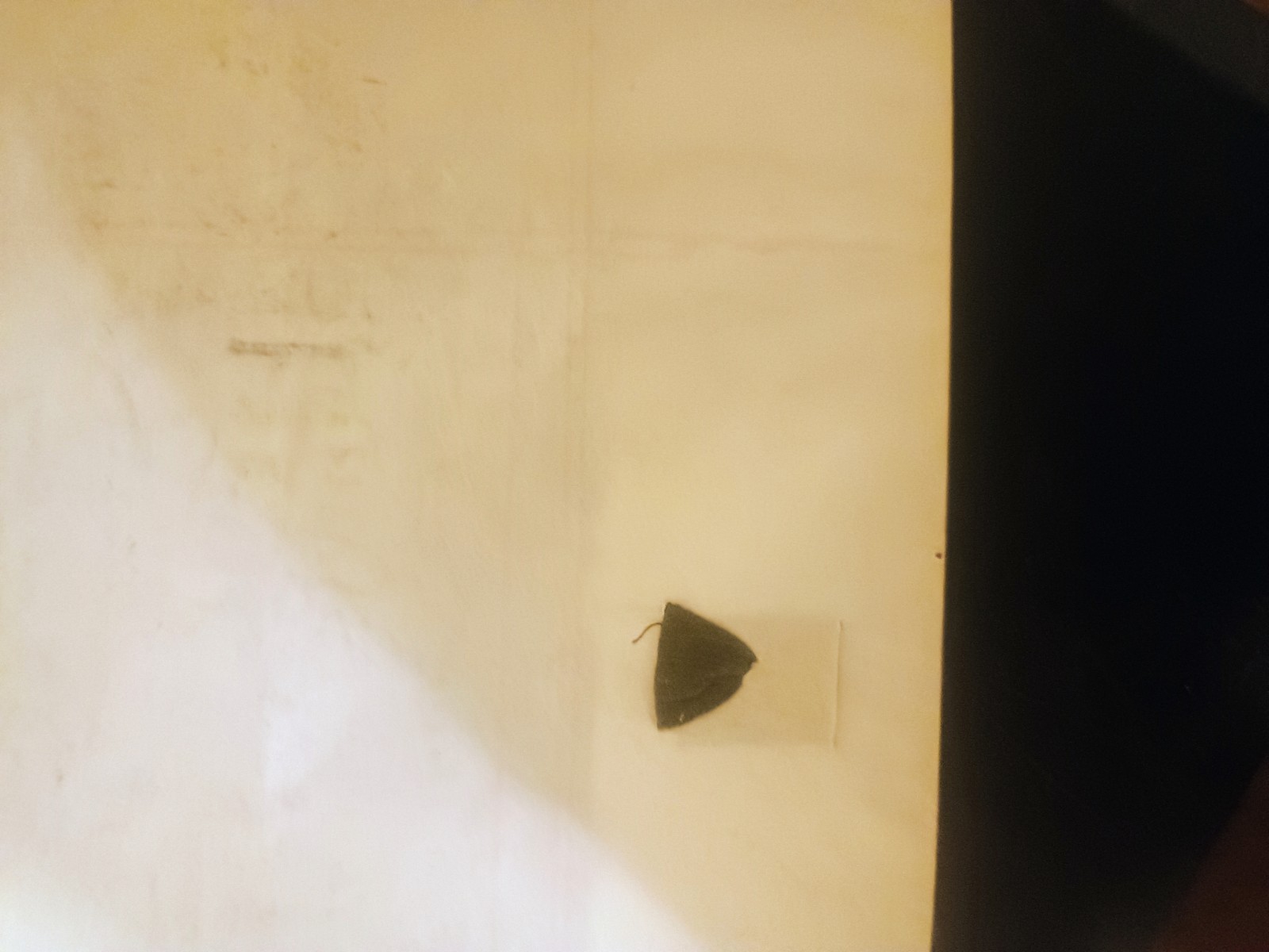 1800s French Document