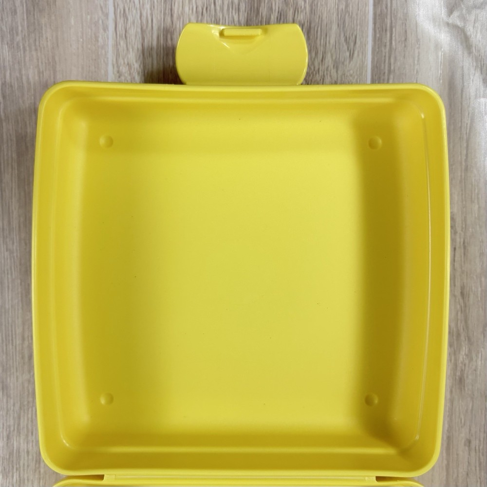 Tupperware SPONGEBOB SQUAREPANTS Sandwich Keeper Gary Pineapple 2007 EUC