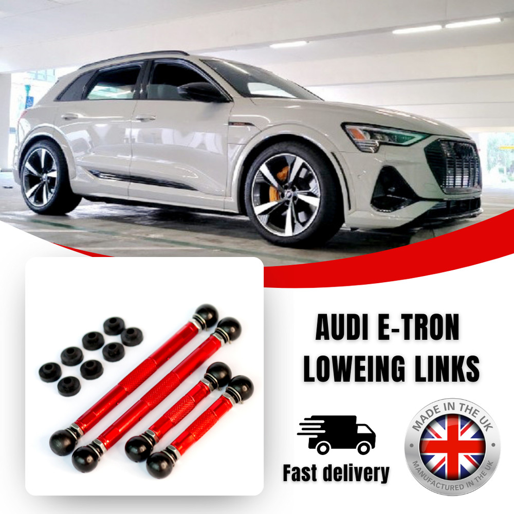 AUDI ETRON EVOLUTION LOWERING LINKS (ADVANCED PRECISION ADJUSTMENT) MODULE