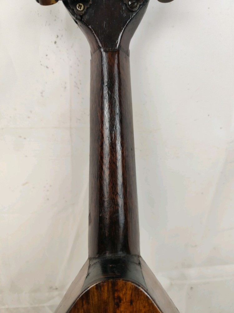 Luigi Cavani 1890 Voghera 4/4 Mandolin 曼陀林 만돌린マンドリン Rustic Cavalry
