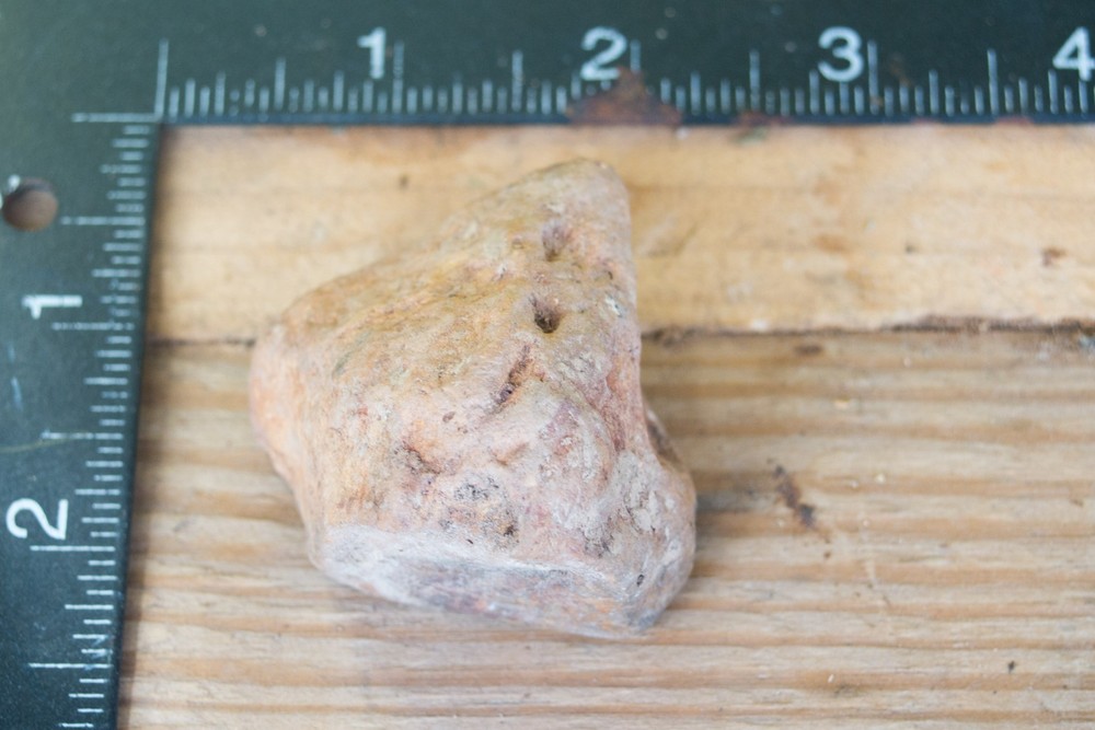 NE Oklahoma Fossil