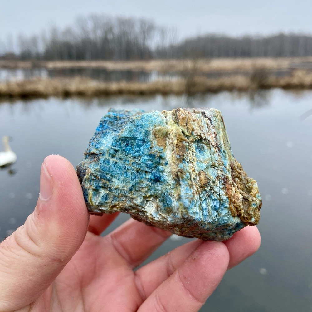 Electrifying Blue Apatite Lapidary Rough Stone 14.21 Oz