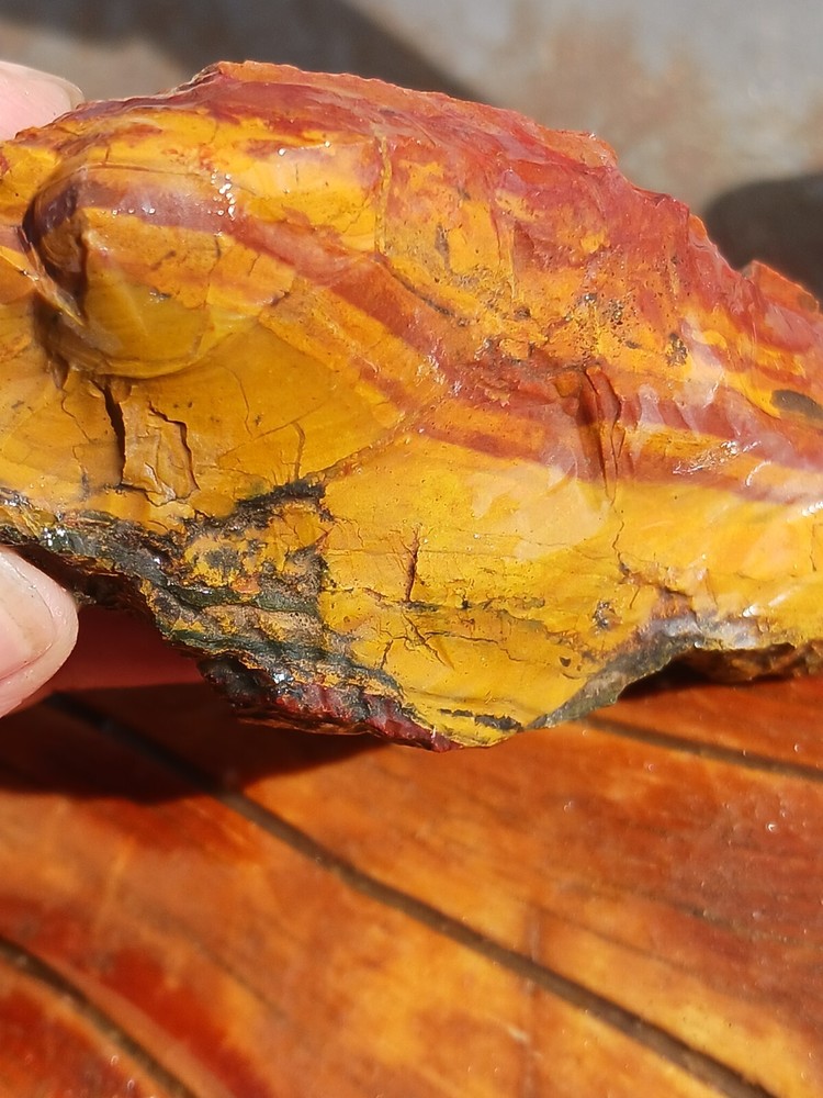 Jasper Slice Rough Specimen Tumble Cab Or Slab Collect Display