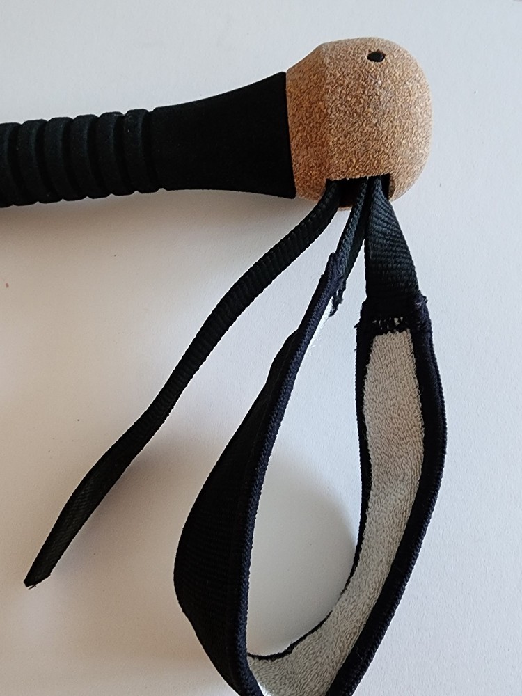 REI Walking Stick