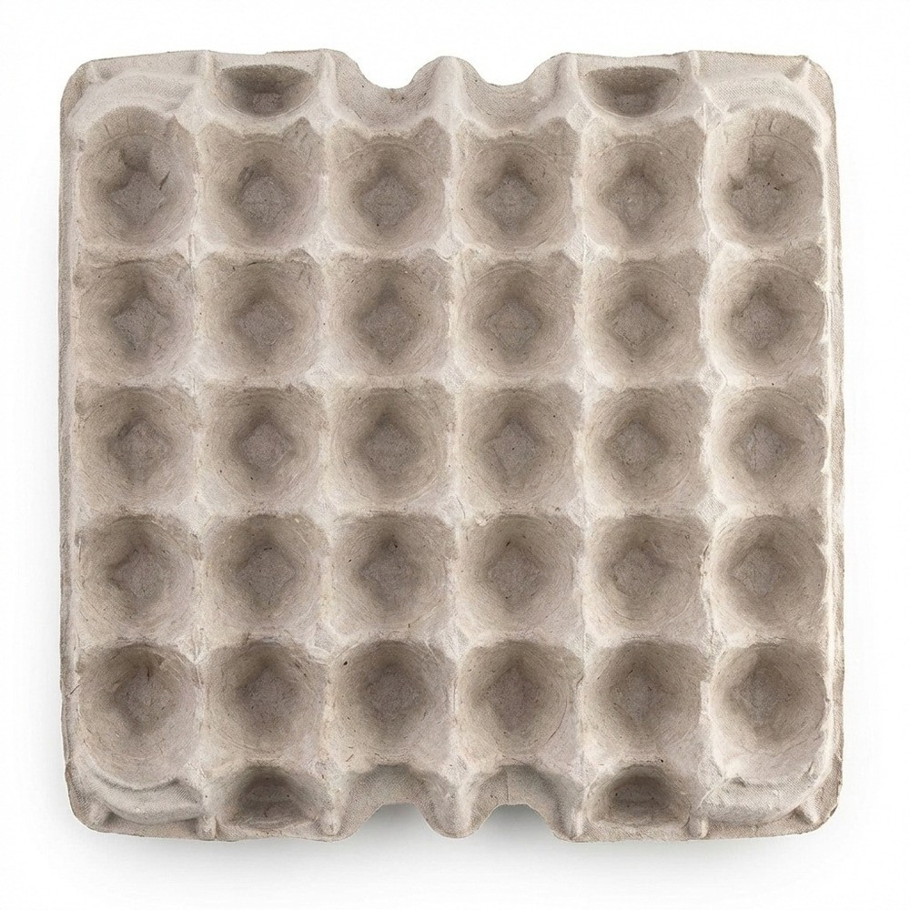 Pulp Flat Egg Carton