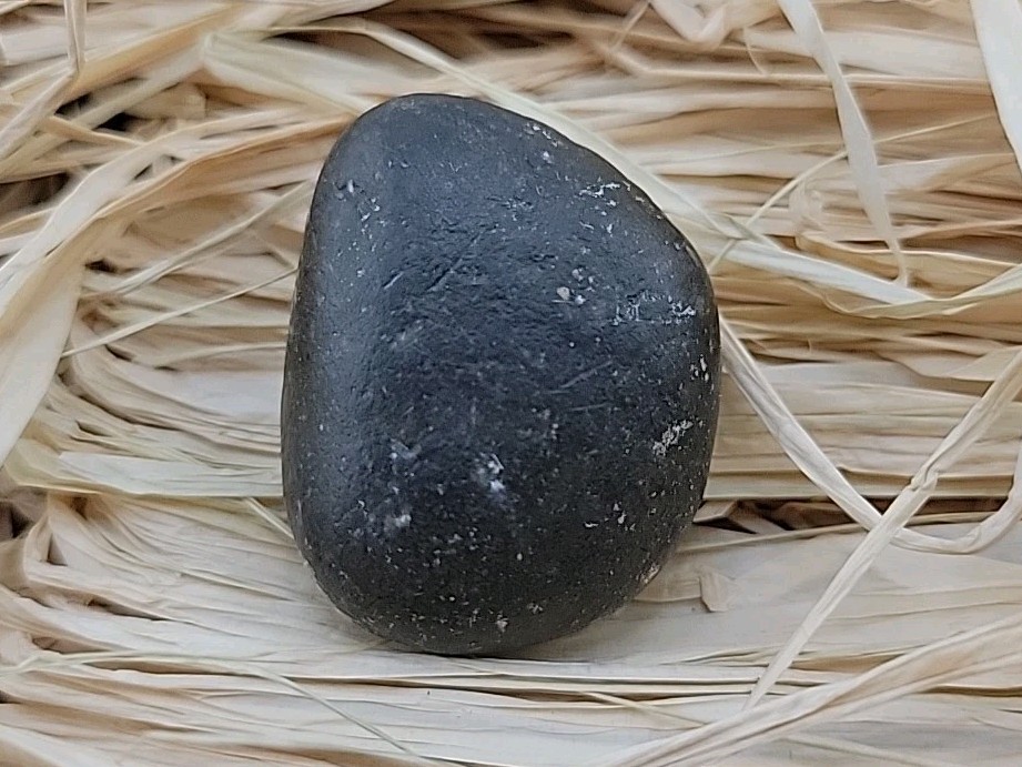 Real Permineralized Reptile Egg Fossil