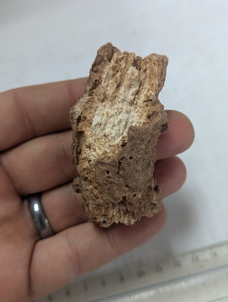 Thick Large Natural Fulgurite Crystal, Fossilized Lightning Sand