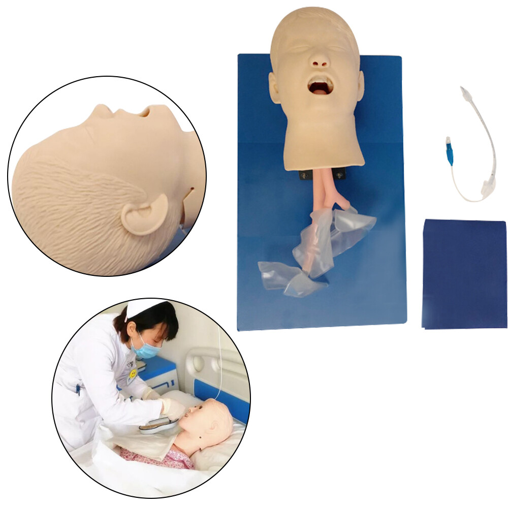 Intubation Manikin Study Teaching Training Model Airway Management Trainer Model