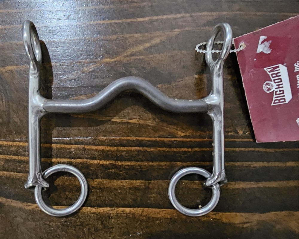 Big Horn Bit Master Solid Mouth Pony Bit