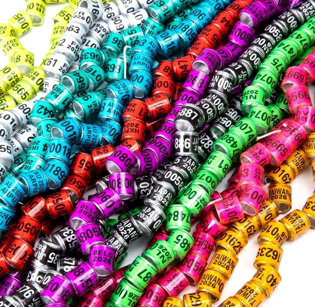 50Pcs Pigeon Ring 2026 Identification Rings Bird,10 Dif Color ANILLOS DE PALOMAS