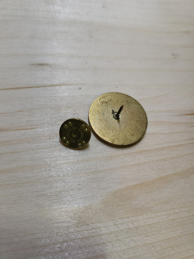 Vintage Pin - Nub Va 1 2000 - Really Cool