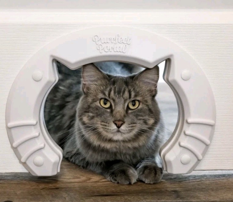 Purrfect Portal Cat Door