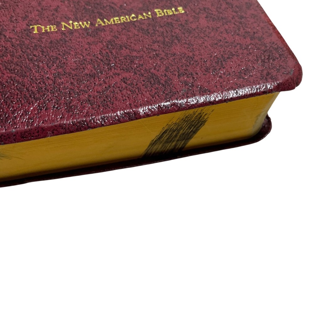 Bible Fireside Study Edition (some markings) Leather bound