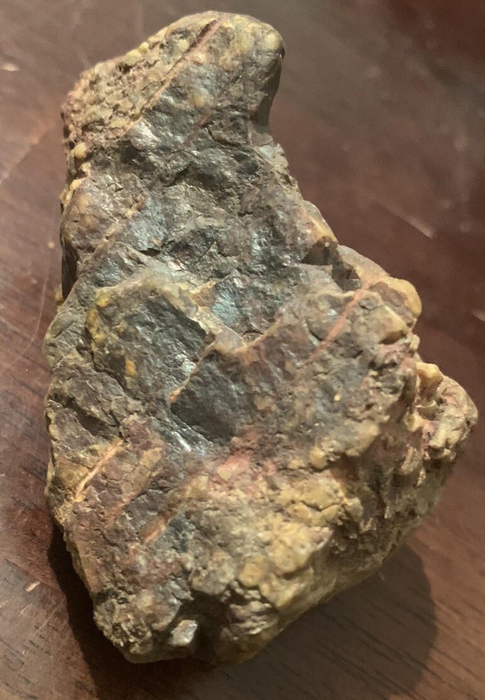 opalized petrified wood Arkansas Fossilized Agate