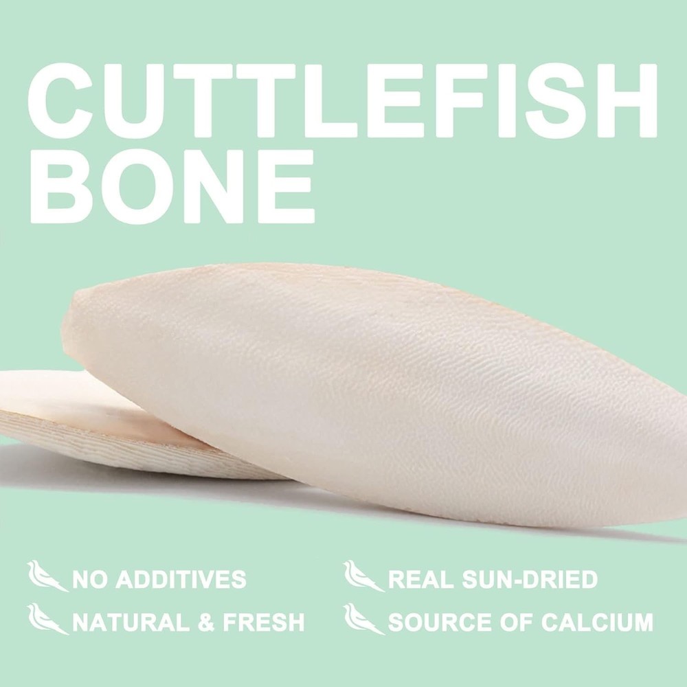 Calcium-Rich Cuttlebone for All Birds - Includes Convenient Cage Holder, 2 Pack