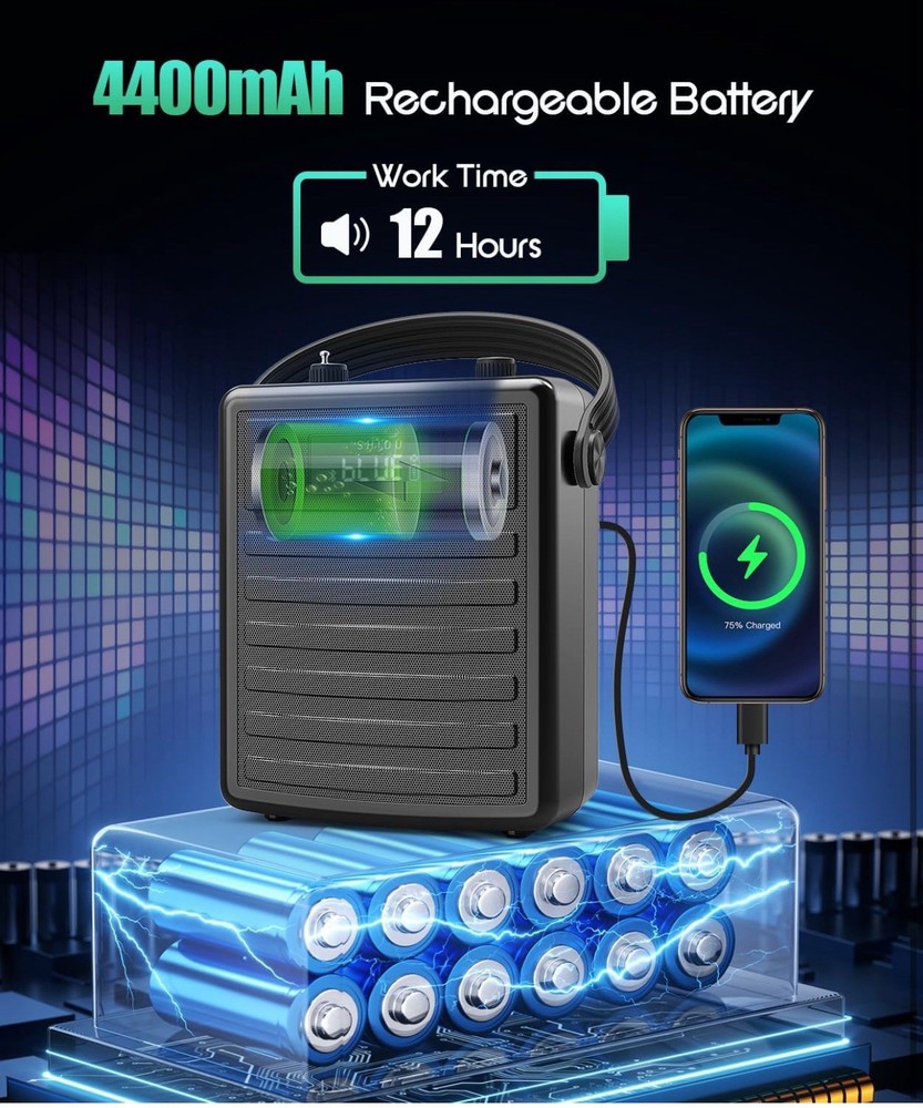 Voice Amplifier with Wireless UHF Microphone, Professional Portable Bluetooth