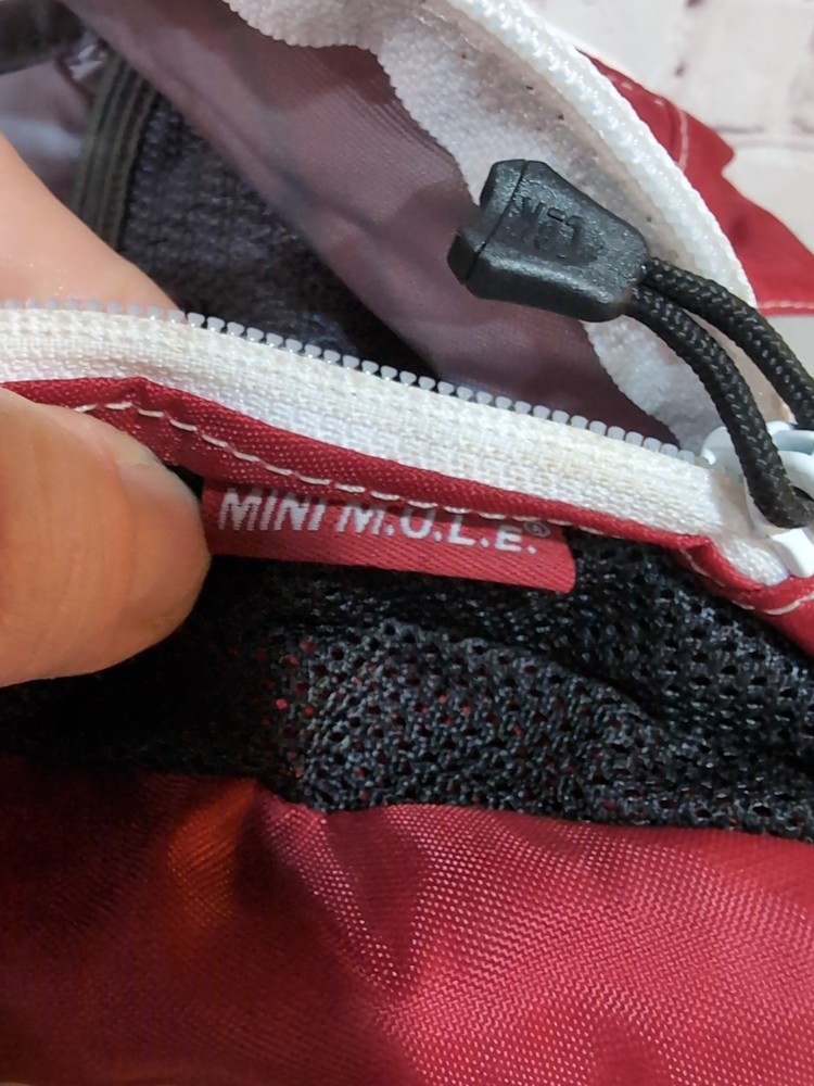 Camelback Mini Mule Hydration Backpack Red White Flames Hiking NO BLADDER