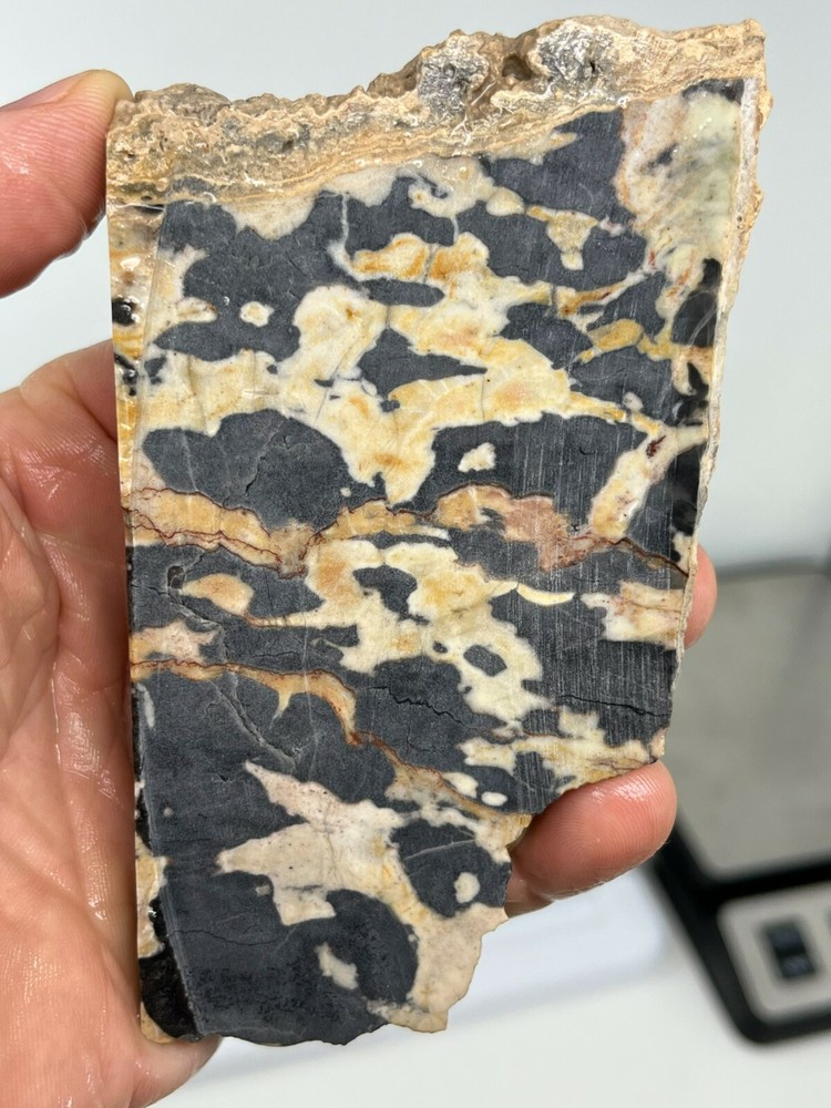 Large Roan Leopard Marble Rough Slab Cabbing Lapidary Combo Ship Avail