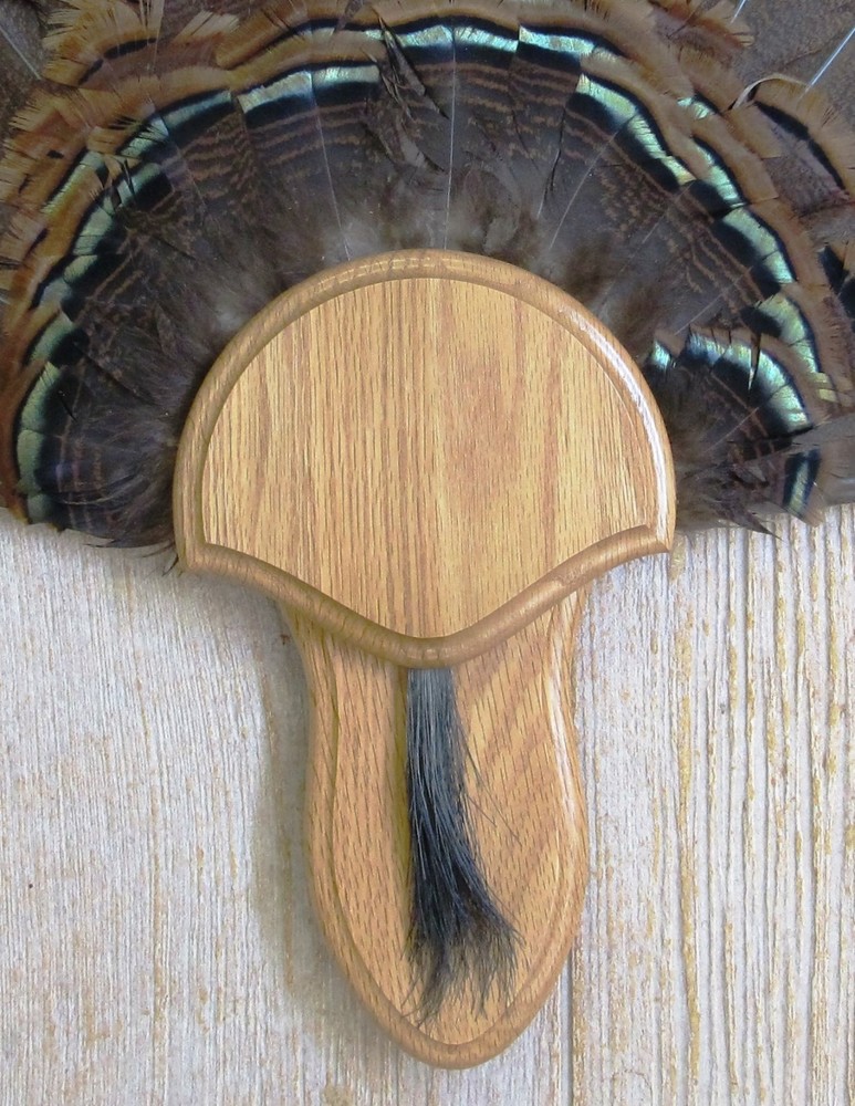 Solid Medium Oak Turkey Fan / Beard Mounting Kit -02
