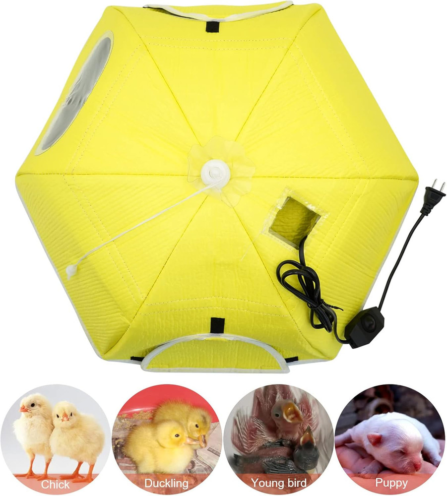 Large Chick Brooder Heating Plate Chick Brooder Box 21.6" Heat up to 50 Chicks