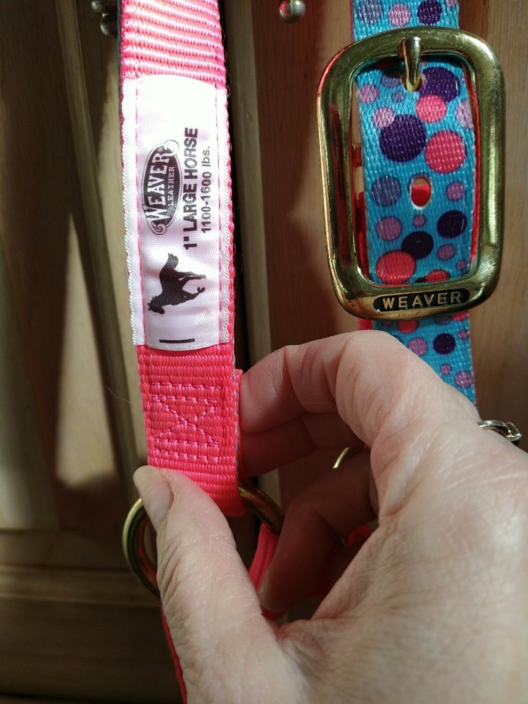 Weaver Bubbles Patterned Non Adj. Halter Hot Pink Large Horse-Year Draft