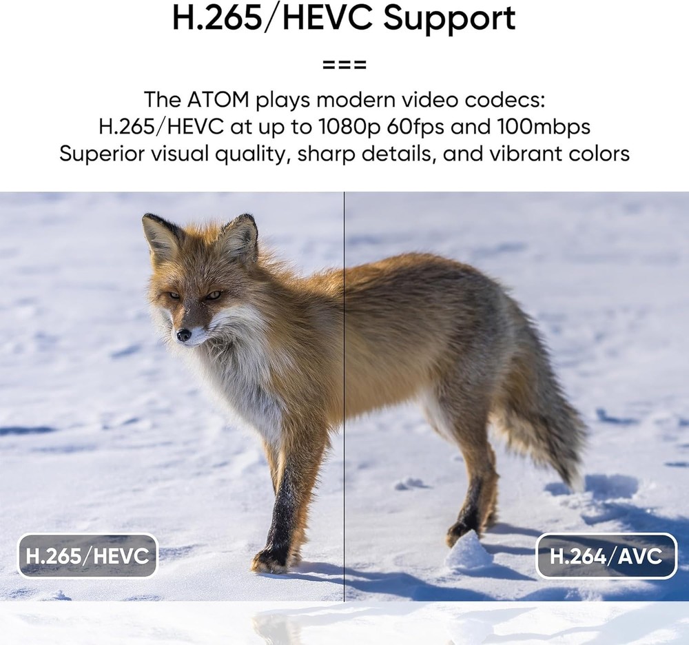 NEUMI Atom 1080P Media Player: USB & SD Card Compatible, Auto Playback & Trigger