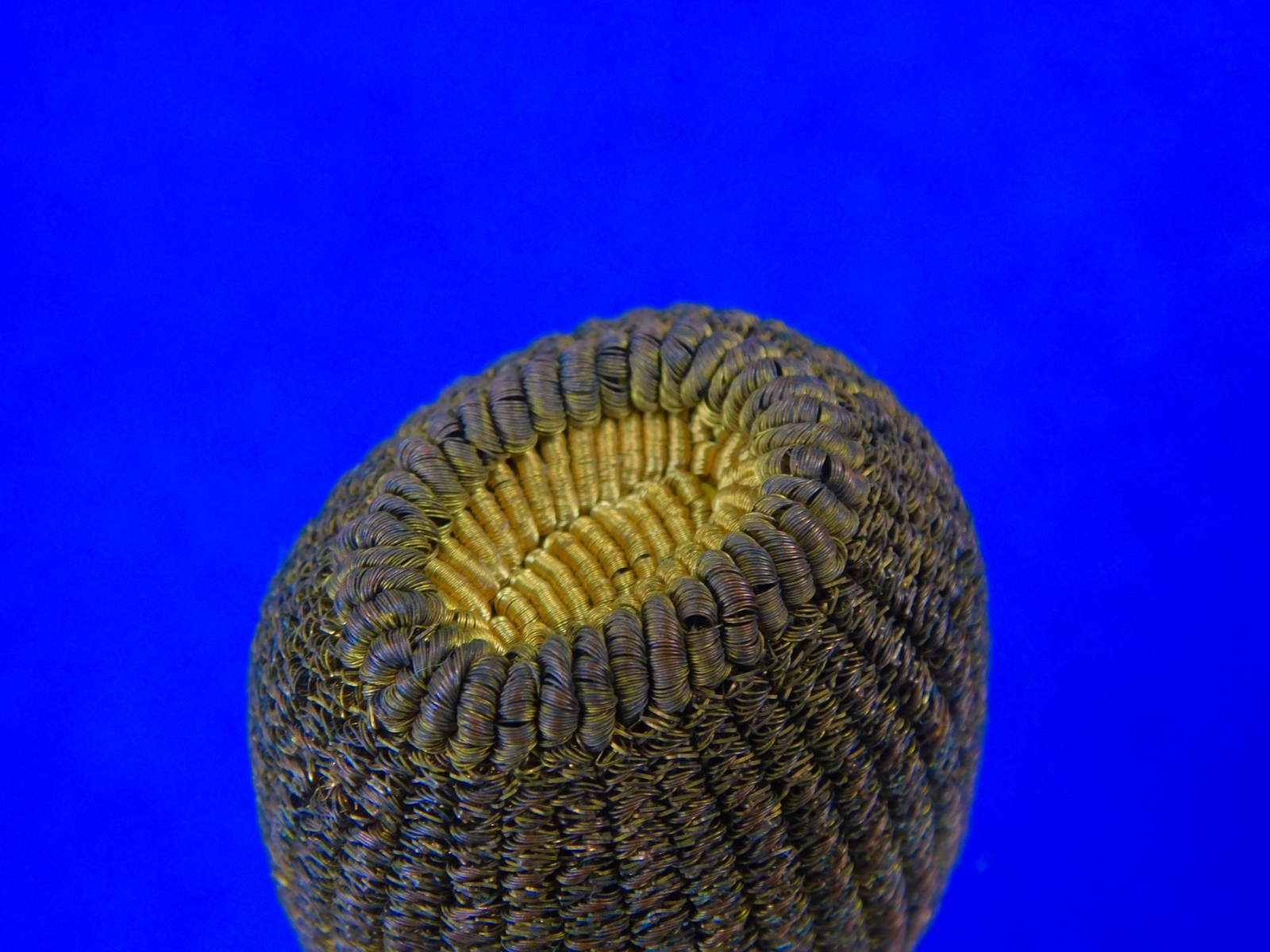 German Germany WW1 Officer's Sword Dagger Knife Portepee Knot Tassel