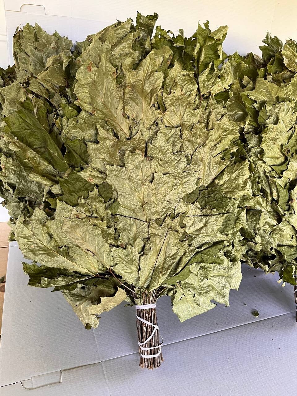 24 OAK whisks sauna banya venik brooms NEW SEASON 2025 FREE SHIPING