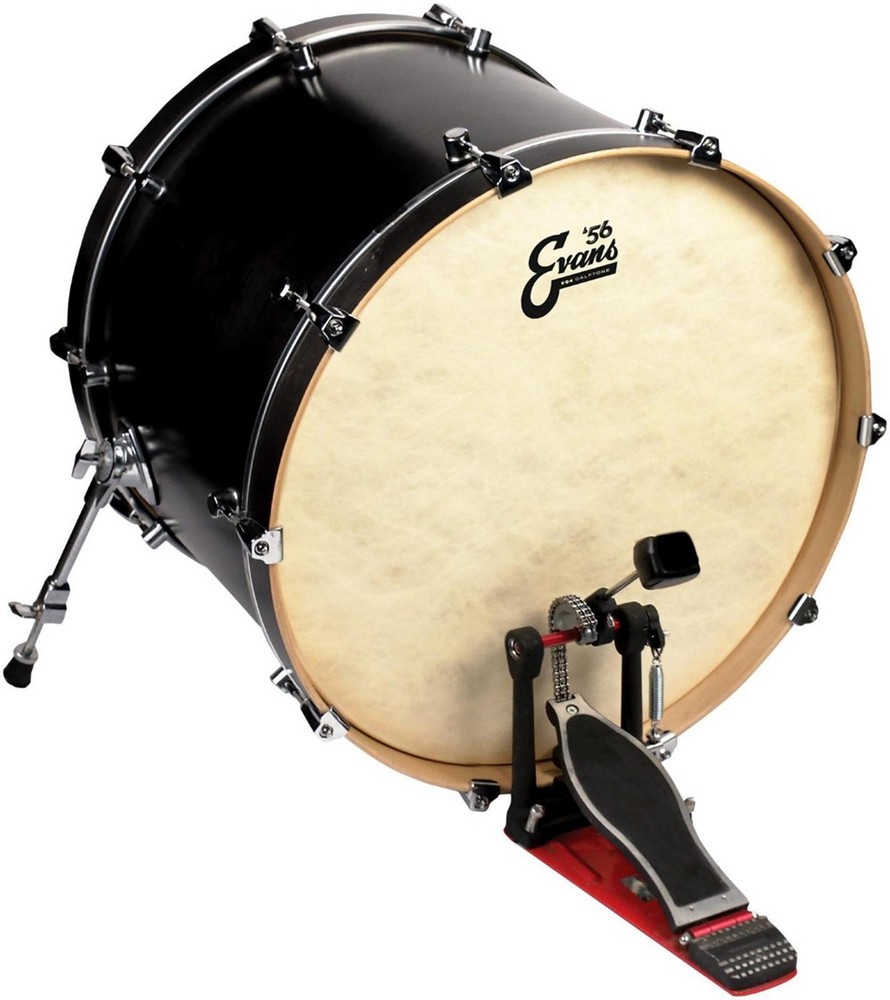 Evans EQ4 Calftone Bass Drum Head 22 in.