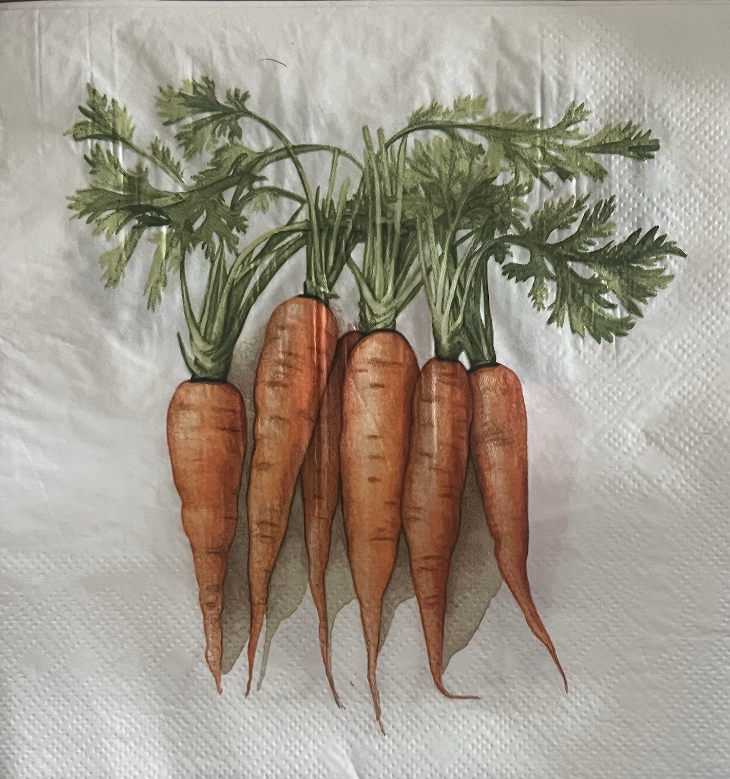 Two Paper LUNCHEON Decoupage Art Craft Napkins Spring Easter Bunny Carrots 6.5