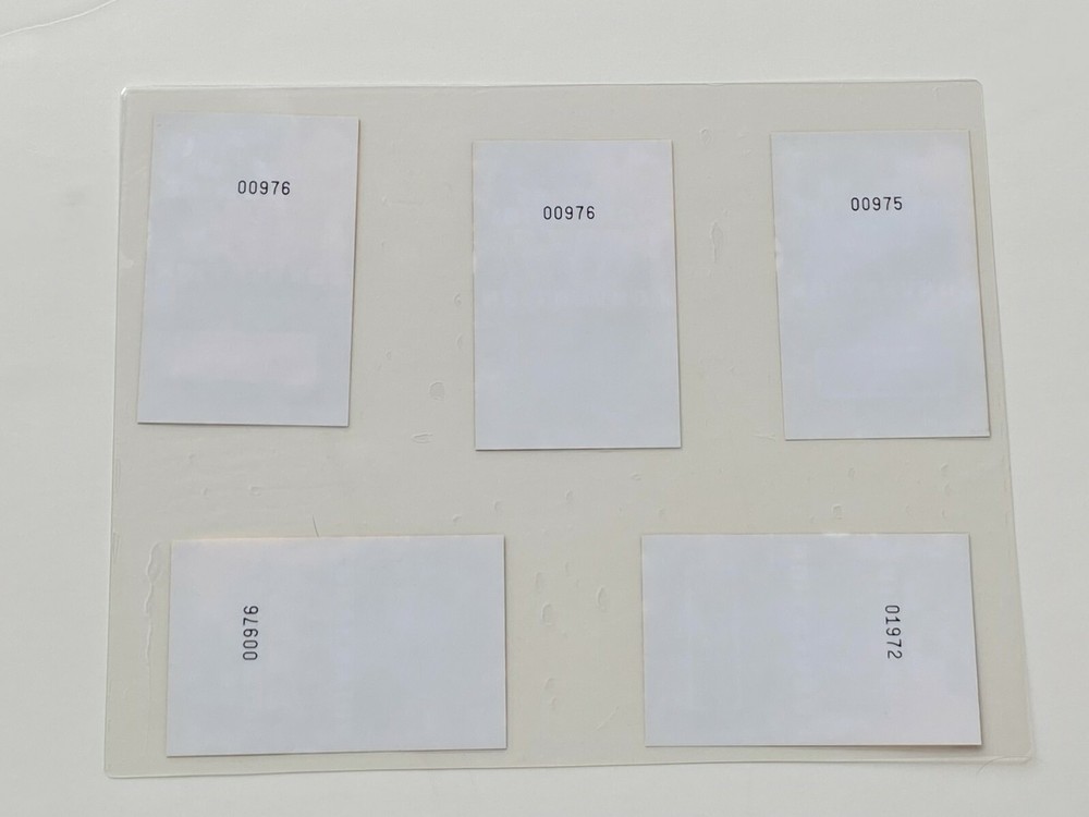 KISS Laminate Pass UNCUT SHEET Convention Concert Tour Management Staff Vintage